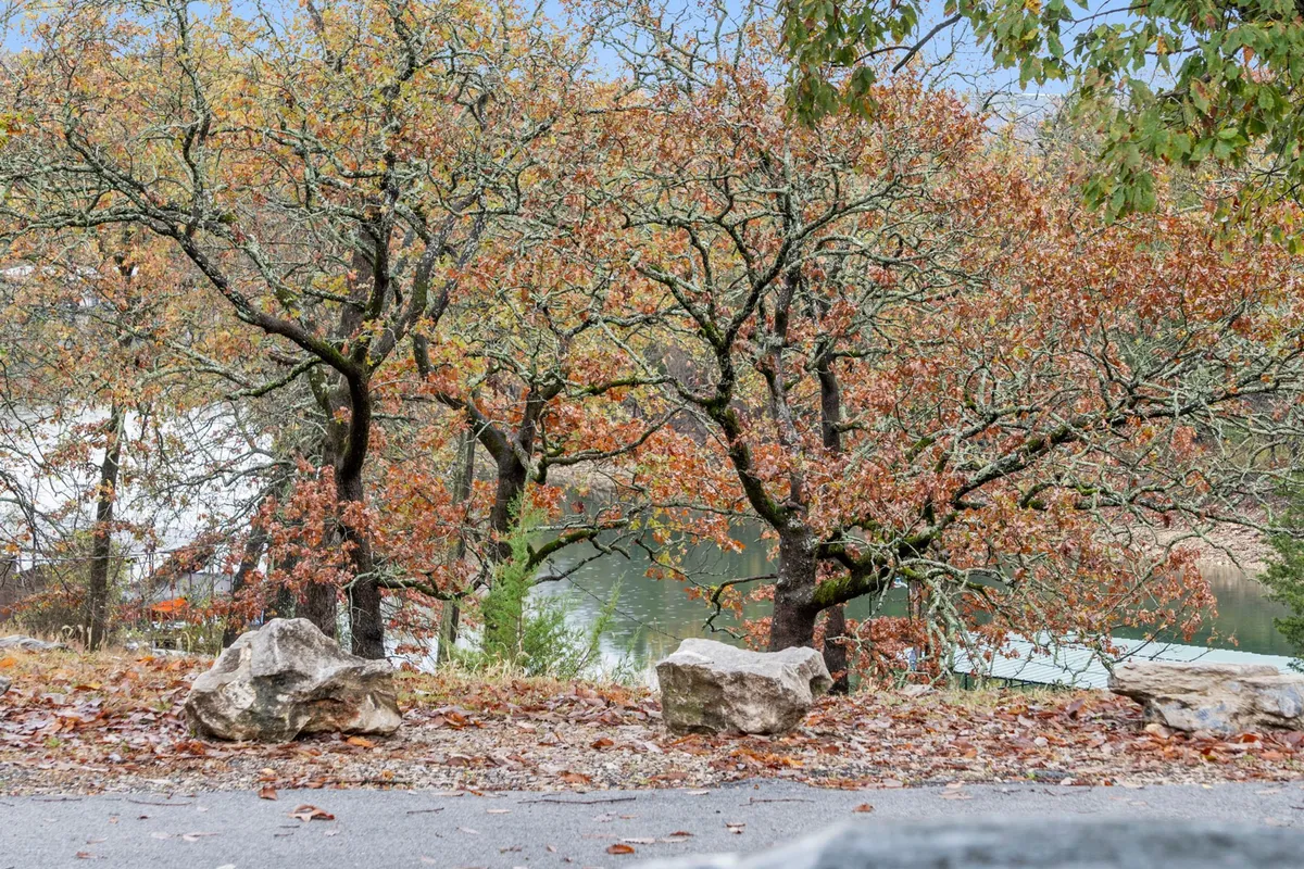 A tranquil lakeside setting with trees lining the shore, scattered rocks, and the soft glow of sunset reflecting on the water. The natural landscape invites leisurely walks and offers open grassy areas, ideal for pets to explore and play.